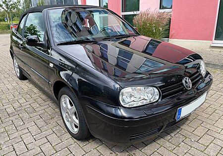 VW Golf Volkswagen 4 1.6 Colour Concept Cabrio Leder 1Hd. Sche