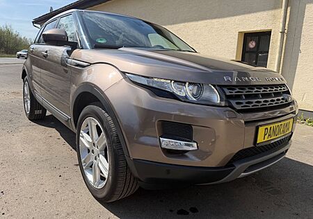 Land Rover Range Rover Evoque Pure Technik *AUTO**PANORAMA*