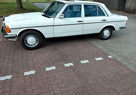 Mercedes-Benz 280 gebraucht kaufen Mercedes-Benz 280