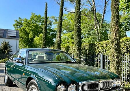 Jaguar Daimler 4.0 V8 Lang - Sammlerfahrzeug