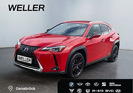 Lexus UX 250h Style Edition *Bi-LED*ACC*CAM*SHZ*CarPla