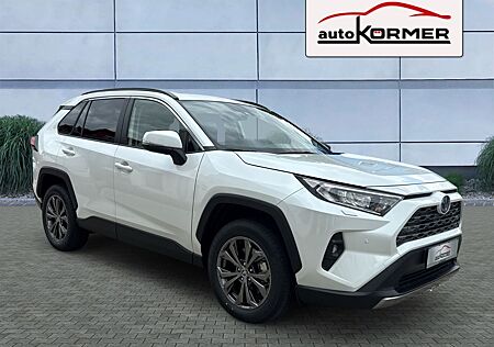 Toyota RAV 4 RAV4 Hybrid 4x4 Team CarPlay,Totwink,ACC,sofort