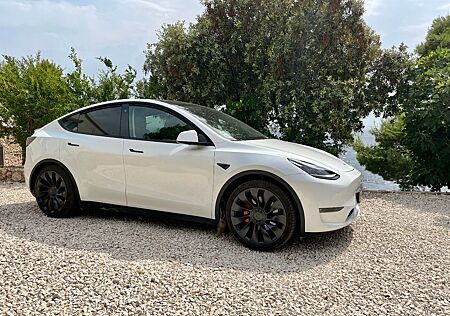 Tesla Model Y Performance Dual Motor AWD