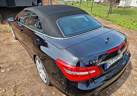 Mercedes-Benz E 250 Cabriolet BlueTEC - Sport- Paket