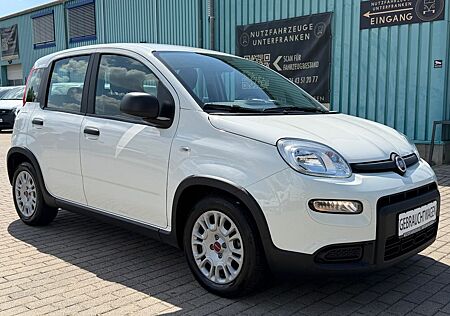 Fiat Panda 1.0 Mild Hybrid/DAB+PDC+KLIMA+BLUETOOTH