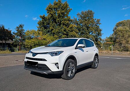 Toyota RAV 4 2,5-l-Hybrid Edition-S Auto 4x2 Edition-S