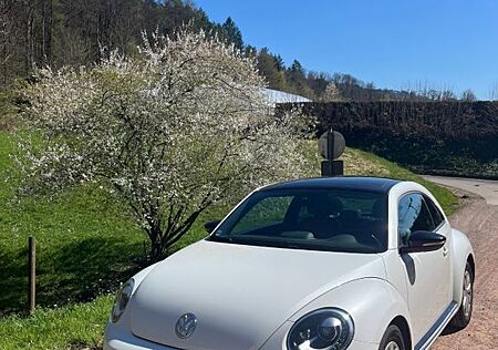 VW Beetle Volkswagen 2.0 TDI DSG Exclusive Sport Exclusive...