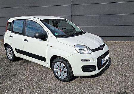 Fiat New Panda Panda 1.2 8V, Insp. , HU und Zahnriemen NEU, DAB