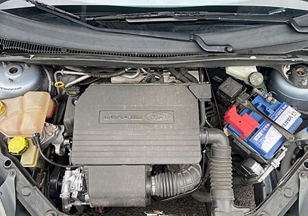 Ford Fiesta 1,3 51 kW Ambiente Ambiente