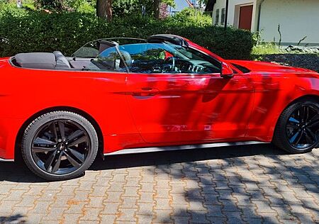 Ford Mustang Cabrio 2,3