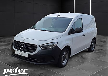Mercedes-Benz Citan 112 CDI Hecktüren 180°*Park Paket