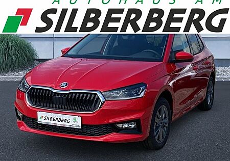 Skoda Fabia 95PS Tour Winter+ LED Sitzheizung Lodge