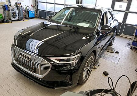 Audi e-tron 50 Q 21Z./MATRIX/ACC/CARPL/eSITZE/AHK/KAM