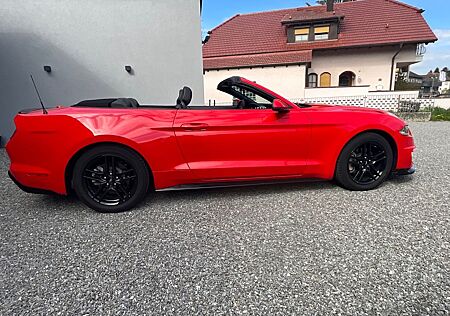 Ford Mustang GT 350 SHELBY unfallfrei