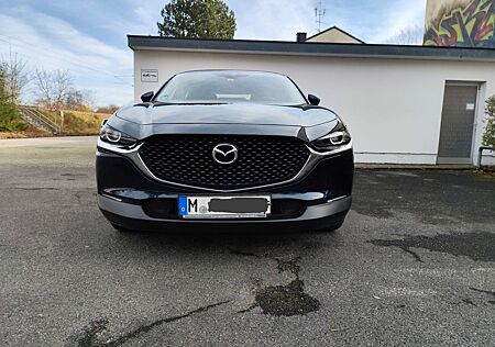 Mazda CX-30 2020, Service & HU NEU, 360°-Cam+Head-Up