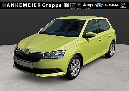 Skoda Fabia Cool Plus SHZ Bluetooth PDC Allwetter