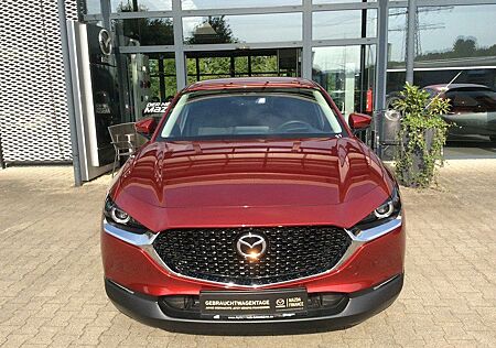 Mazda CX-30 SKYACTIV-G 2.0 M Hybrid BOSE AHK