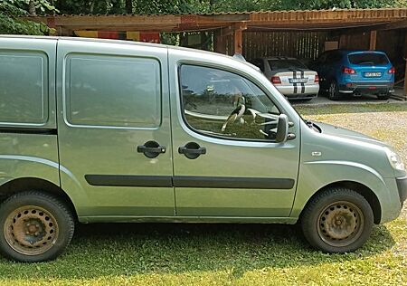 Fiat Doblo Cargo 1.3 Multijet Kastenwagen