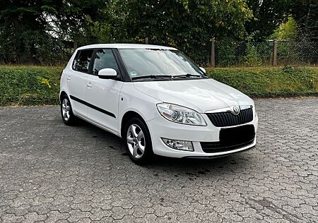 Skoda Fabia 1HAND | PDC | SHZ