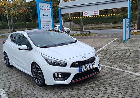 Kia Pro_ceed pro_cee'd / ProCeed 1.6 T-GDI GT-Cup pro_cee...