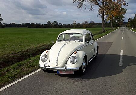 VW Käfer Volkswagen 1200 mit Winker und Blinker original