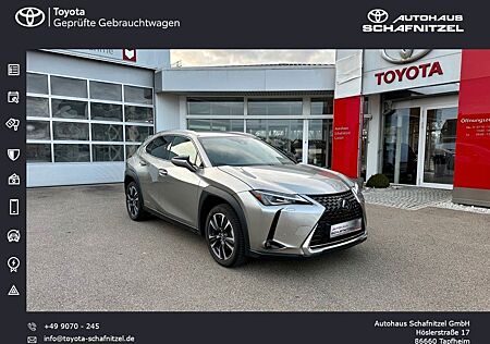 Lexus UX 250h Style Edition *LED*ACC*CarPlay*