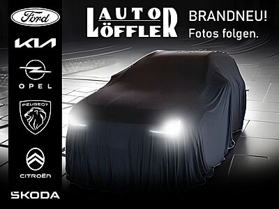 Ford EcoSport Titanium SHZ / LED / RFK / NAVI Klima