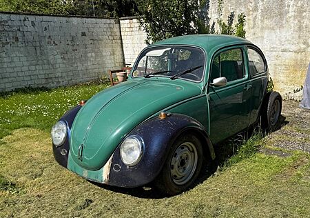 VW Käfer Volkswagen Projekt
