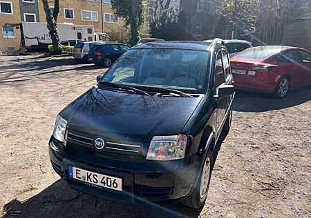 Fiat Panda Rarität: 4x4 (Allrad)