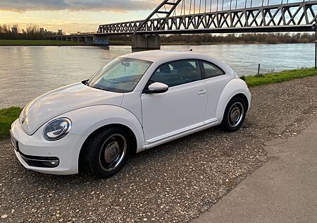 VW New Beetle Volkswagen