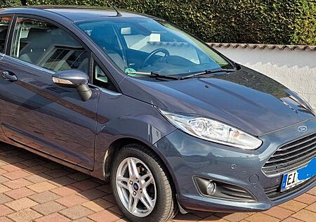 Ford Fiesta 1,0 EcoBoost 74kW Trend Trend Sitzhhzg