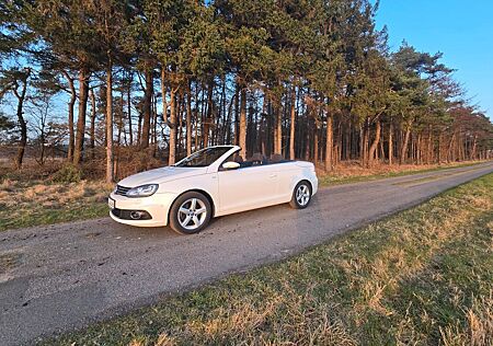 VW Eos Volkswagen 2.0 TDI Cup BlueMotion Technology Cup Bl...