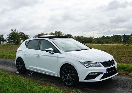 Seat Leon FR 2.0 TSI DSG | Panoramadach
