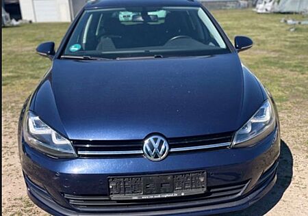 VW Golf Volkswagen VII Variant Cup BMT* Xenon*Standheizung*