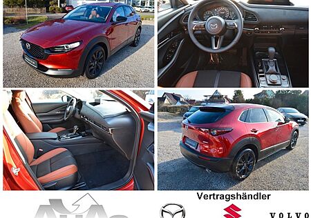 Mazda CX-30 e-SKYACTIV X M-Hybrid 186 AWD Nagisa AT