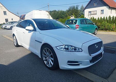 Jaguar XF XJ 3.0 V6 Diesel S Premium Luxury