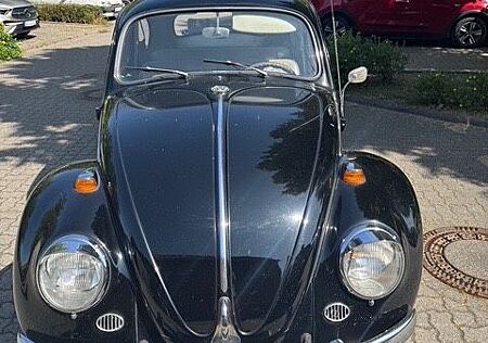 VW Käfer Volkswagen