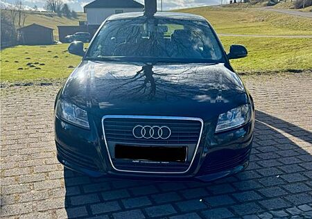 Audi A3 1.6 Attraction / (EU 4) / Climatronic / SHZ