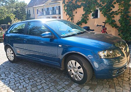 Audi A3 1.6 TÜV NEU/Klima/Sonderedition