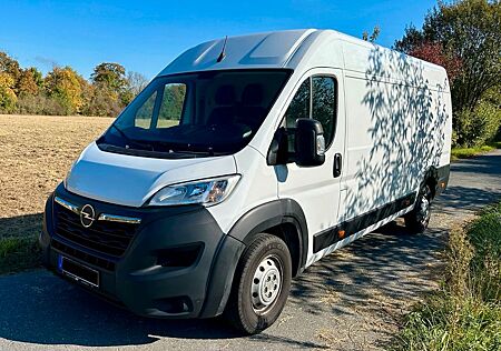Opel Movano Cargo Edition L4H2 3,5t "verstärkt"