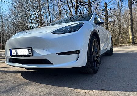 Tesla Model Y Performance Dual Motor AWD Performance
