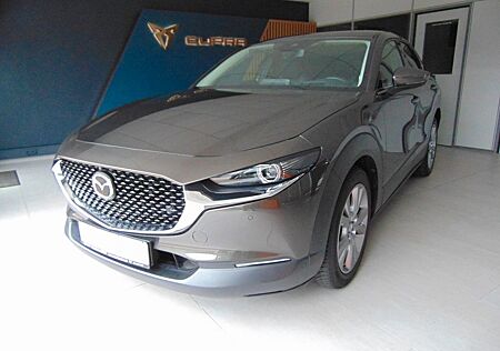 Mazda CX-3 CX-30 Selection *LED*Navi*uvm*