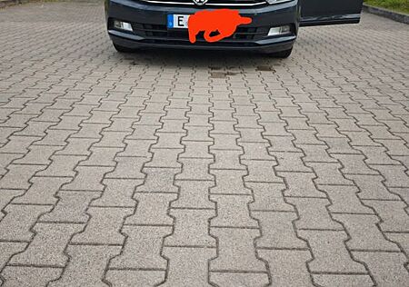 VW Passat Volkswagen 2.0 TDI DSG BMT Highline Highline