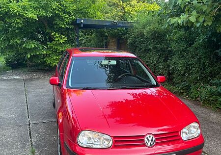 VW Golf Volkswagen 1.6 Auto Highline Highline