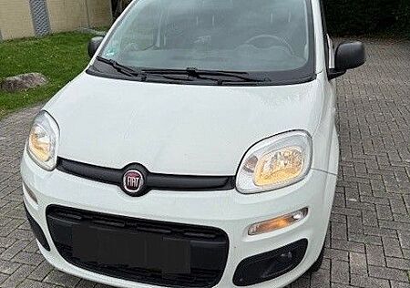 Fiat Panda Easy 1.2, weiß, TÜV 08/27