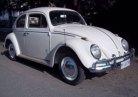 VW Beetle Volkswagen KAFER