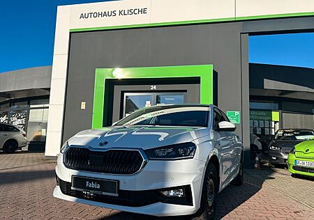 Skoda Fabia Tour 1,0 TSI 70 kW 95 PS