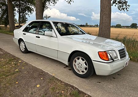 Mercedes-Benz S 320 gebraucht kaufen Mercedes-Benz S 320 s-klasse 300se 3.2 w140 12/1992 white 3rd owner