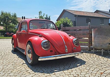 VW Käfer Volkswagen 1966, 1984ccm, Projektfahrzeug