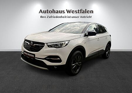Opel Grandland X Grandland (X) Design Line/Automatik/Kamera/AHK!